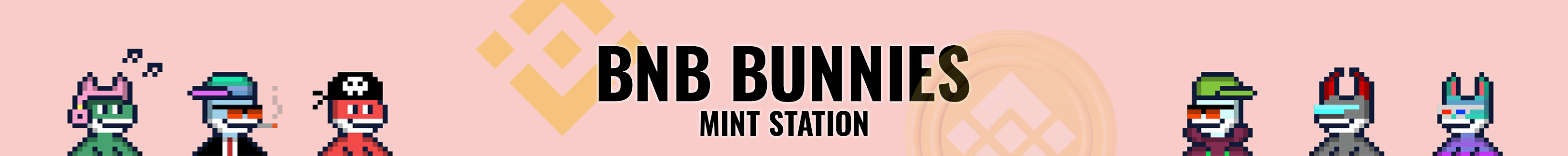 BNB Bunnies Banner
